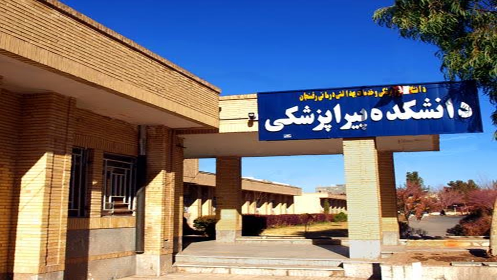 تصاویر دانشکده پیراپزشکی